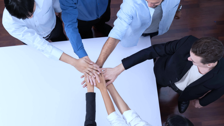 Team de gestión de calidad